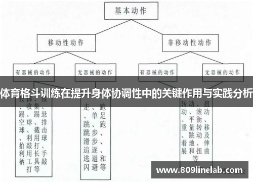 体育格斗训练在提升身体协调性中的关键作用与实践分析