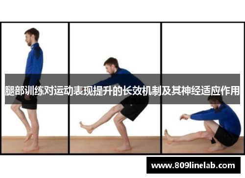 腿部训练对运动表现提升的长效机制及其神经适应作用
